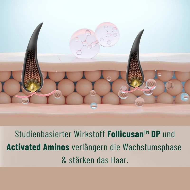 SALE: Kopfhaut-Aktiv-Shampoo