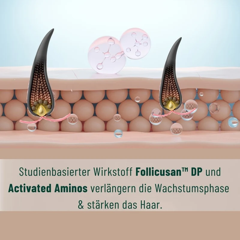 Pflege-Set für feines, strapaziertes Haar & Haarbruch