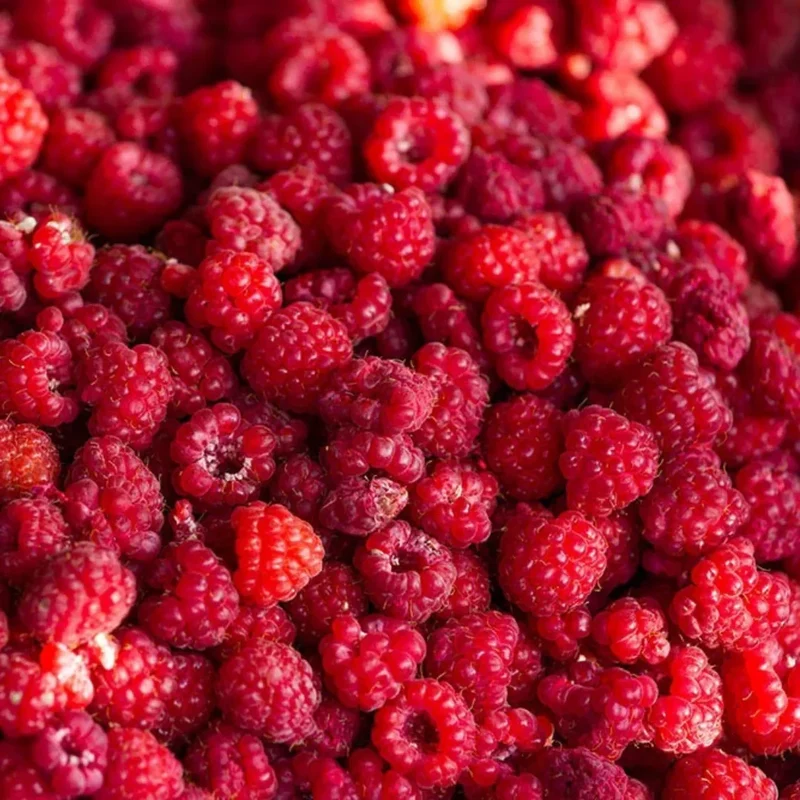 French Raspberry Oil 15 ml