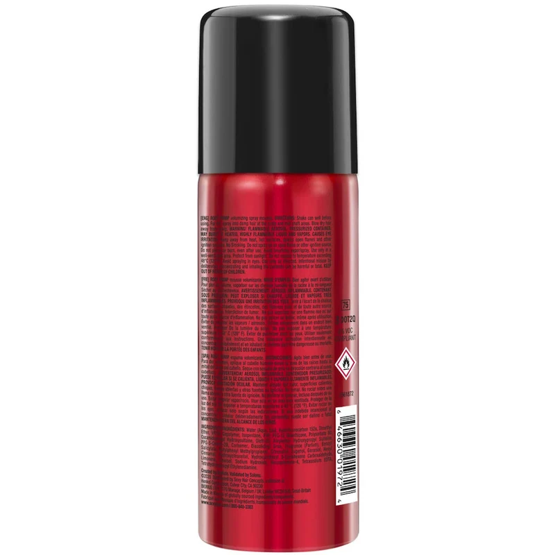 Big Root Pump Volumizing Spray Mousse 50ml
