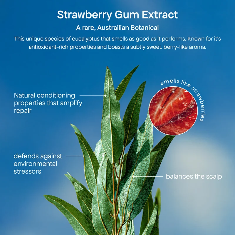 HG Strawberry Gum Miracle Hair Mask 250ml