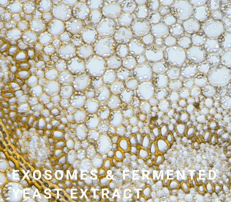 Exosomes Radiance Renewal Treatment 50 ml