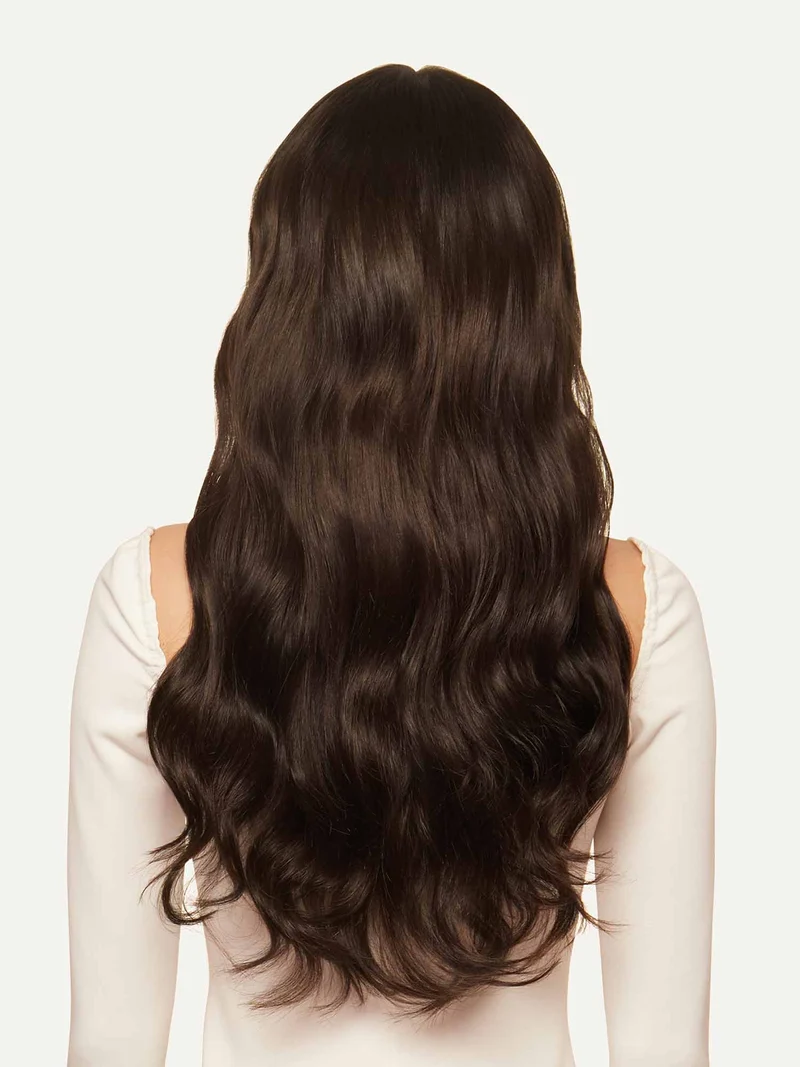 20" Classic Dark Brown Clip-Ins (220g)