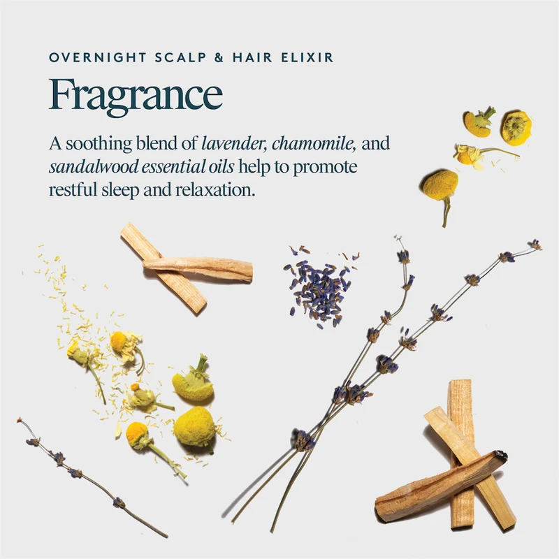 Overnight Scalp & Hair Elixir 50ml