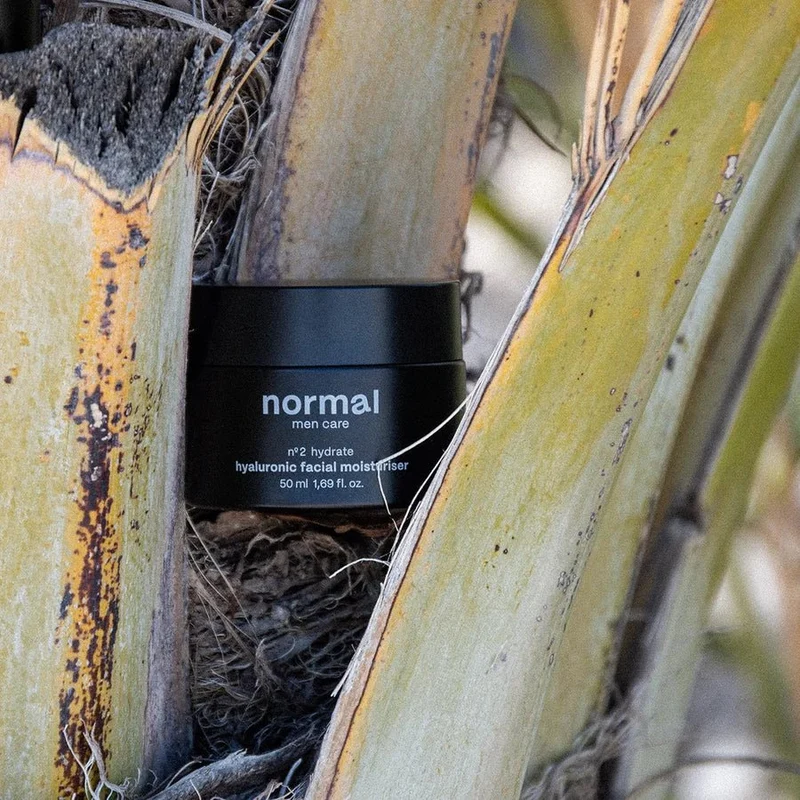 Nº2 Hyaluronic Moisturiser 50 ml