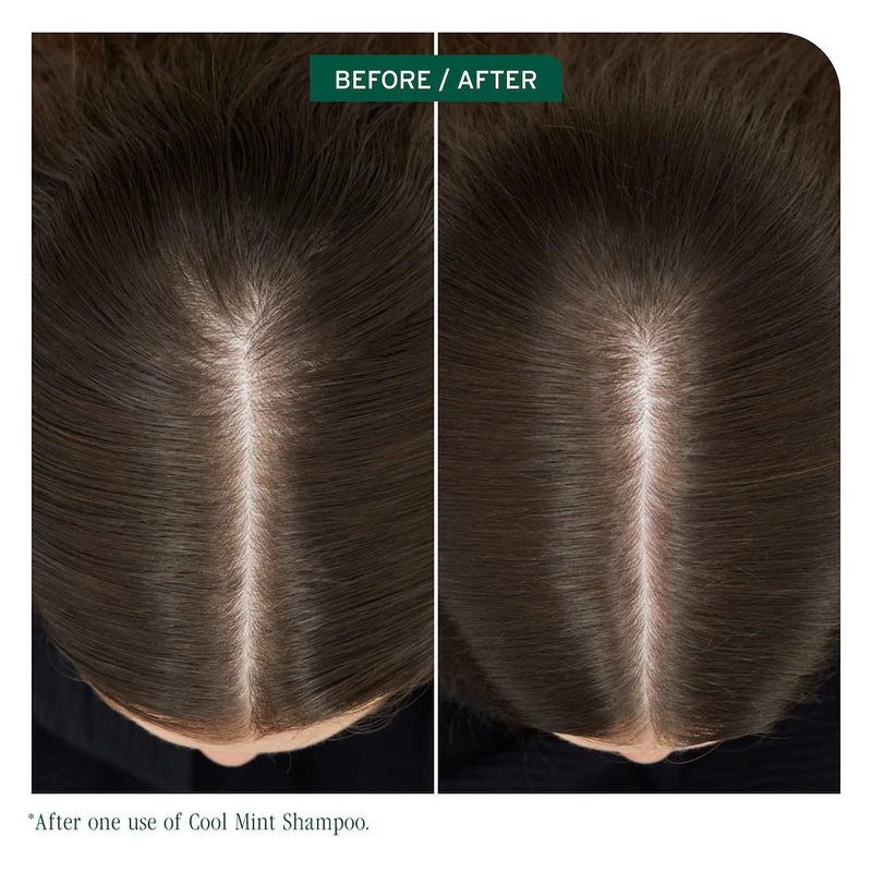 Scalp Sync Cool Mint Shampoo