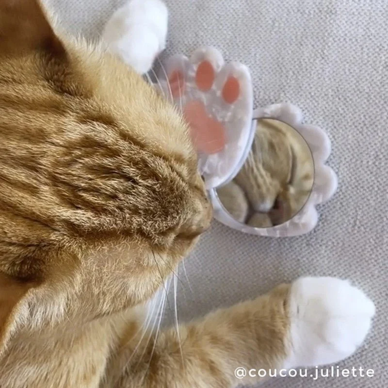 Cat Paw Mirror