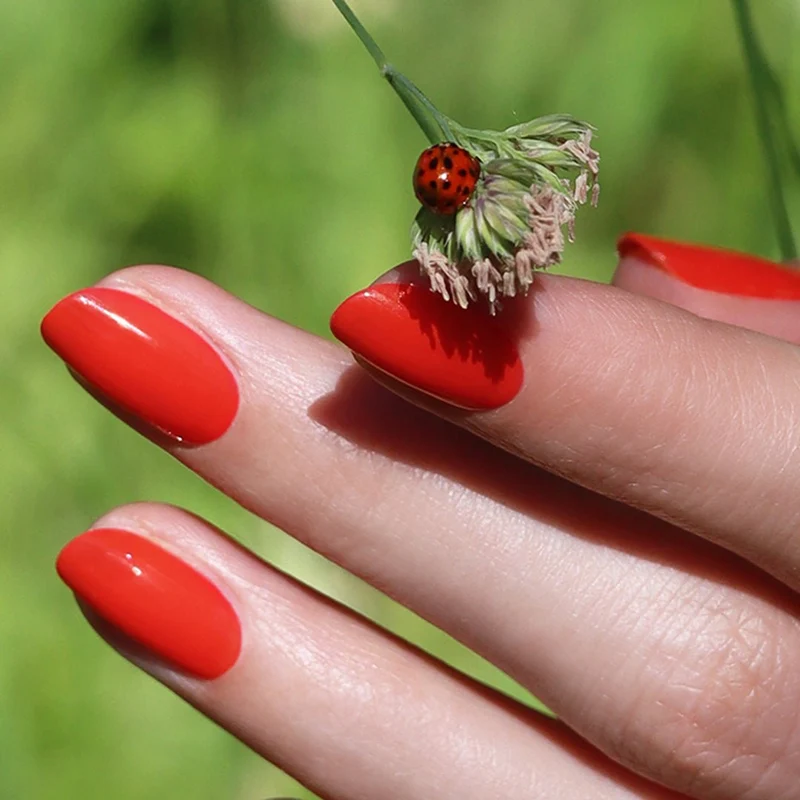 Red Coral 15 ml