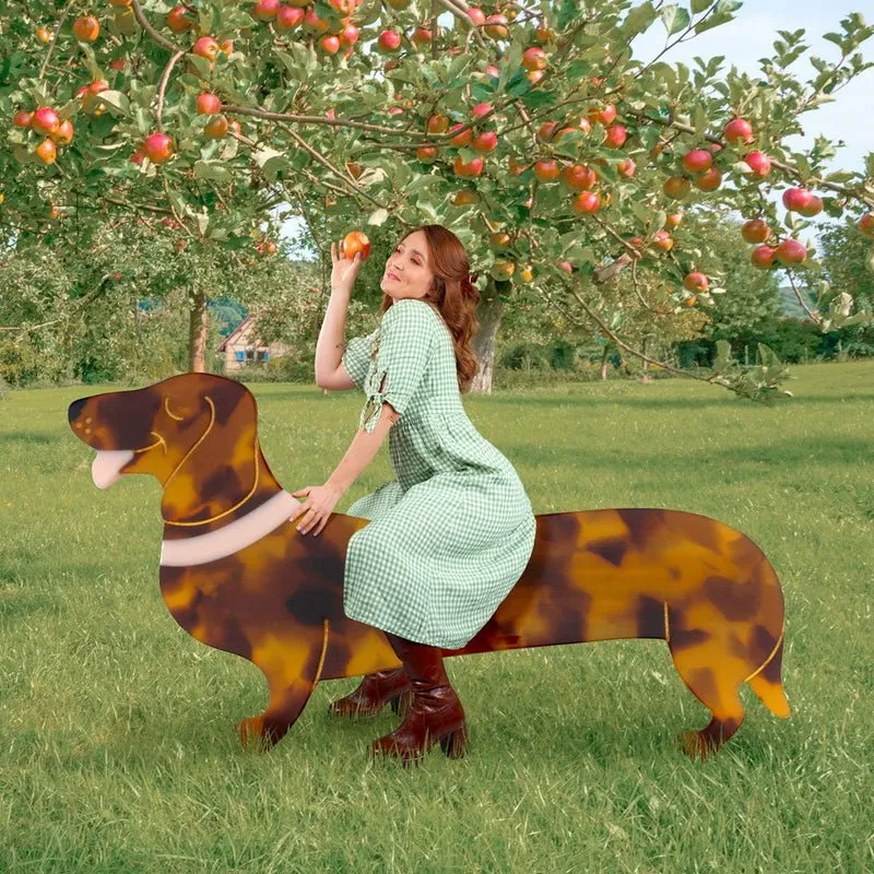 Dachshund French Barette