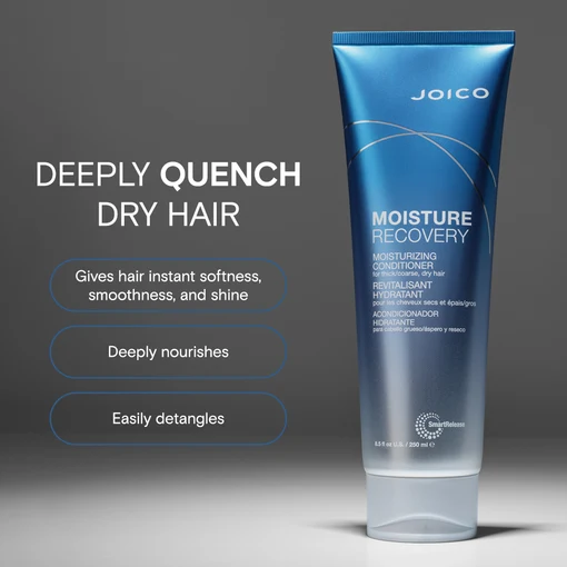 Joico Feuchtigkeitsrückgewinnung Conditioner