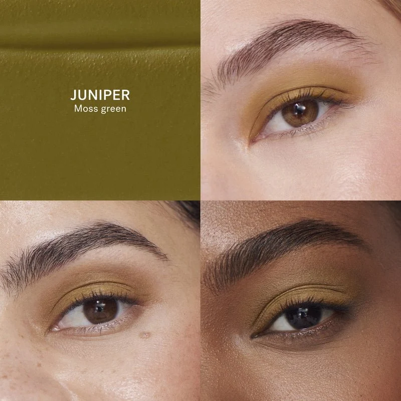 Liquid Powder Eye Tint
