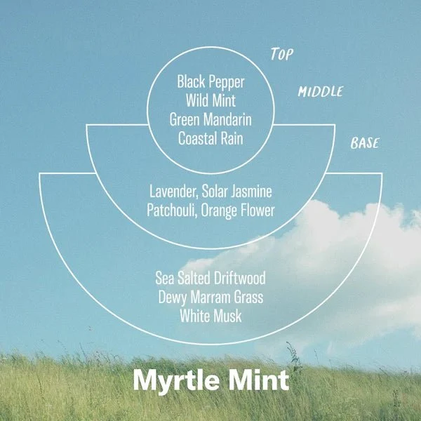 Alchemy Line Myrtle Mint 204 g