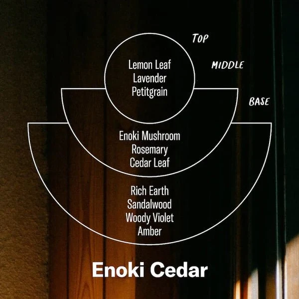 Alchemy Line Enoki Cedar 204 g
