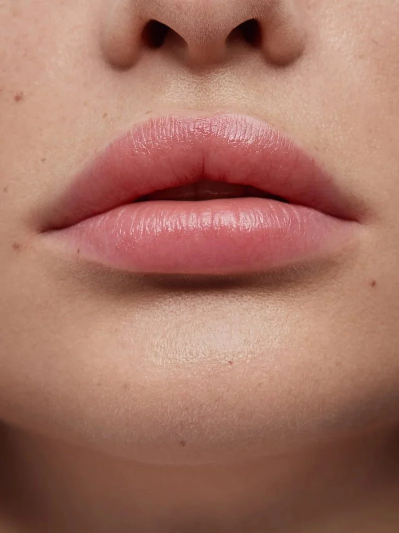 Tagarot Tinted Lip Balm 3,5 g