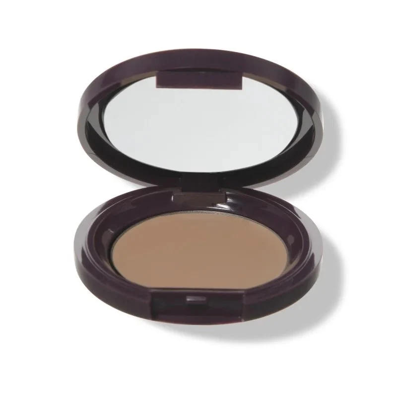 Fruit Pigmented Long Last Concealer with Super Fruits 3 g