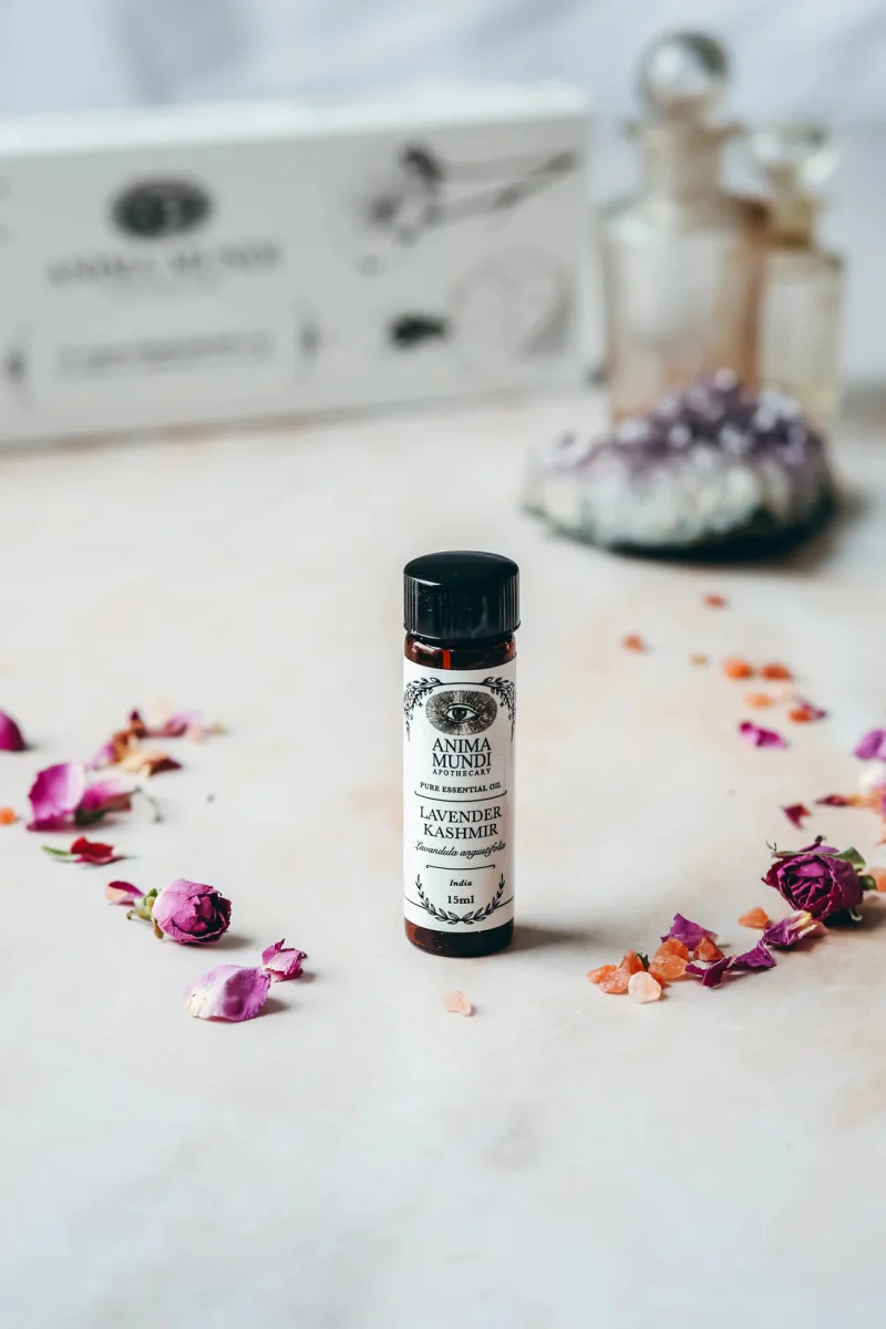 Lavender Kashmir Essential Oil | Sustainably Cultivated 15 ml