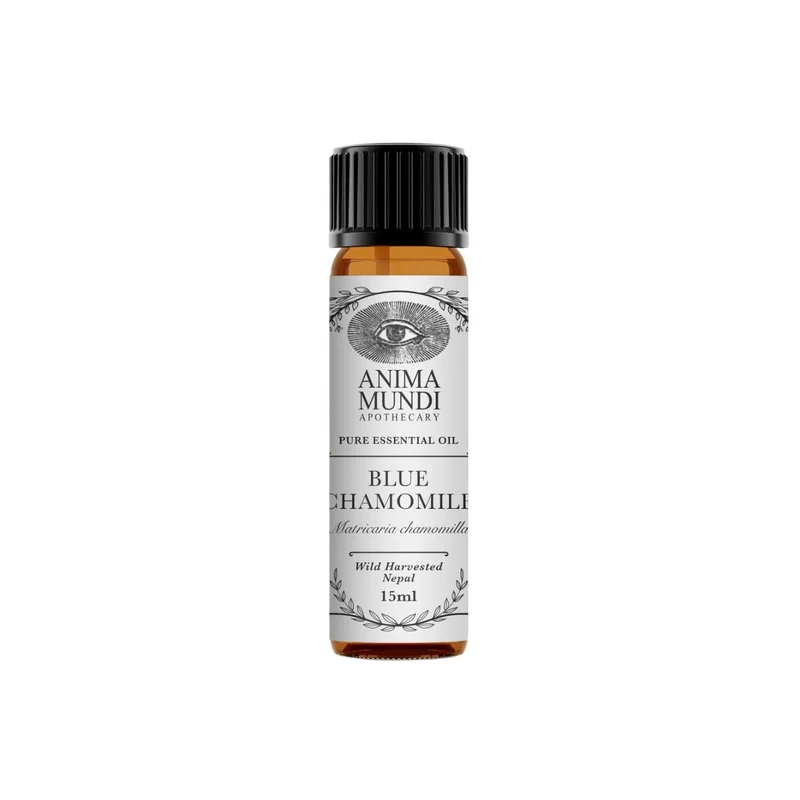 Blue Chamomile Essential Oil | Sustainably Cultivated 15 ml