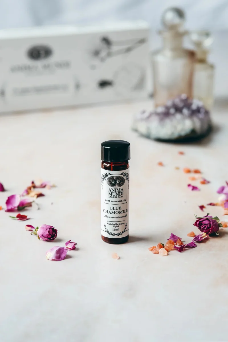 Blue Chamomile Essential Oil | Sustainably Cultivated 15 ml
