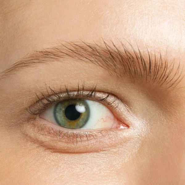 Froh Brow Gel 3 ml