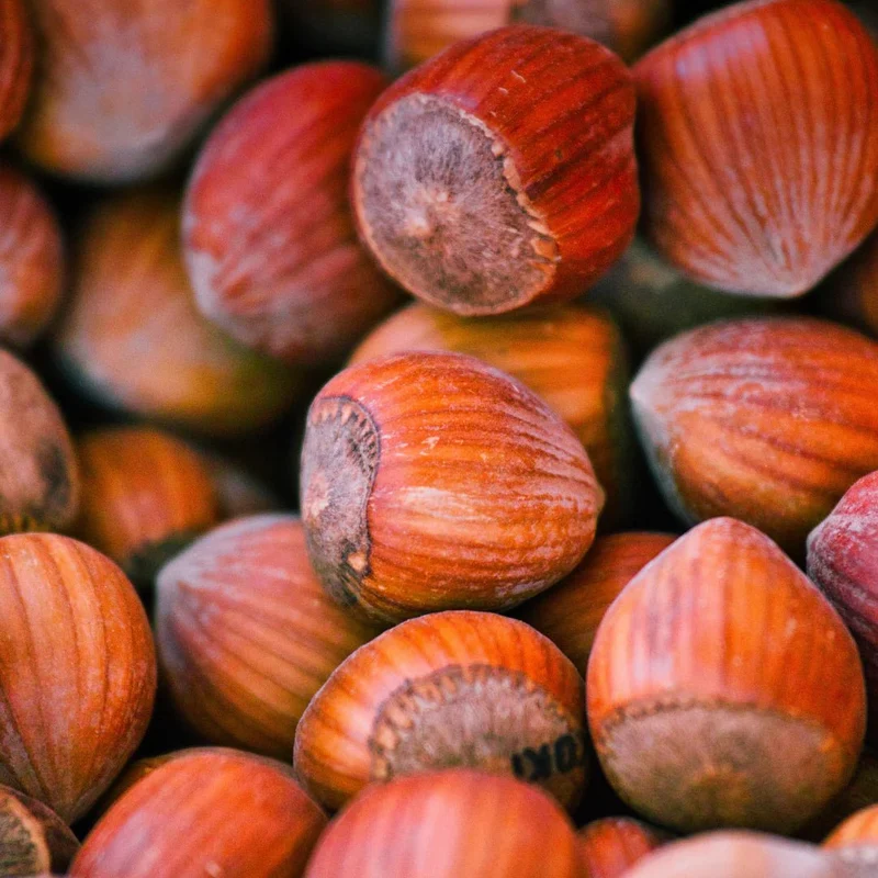 French Hazelnut Oil 30 ml