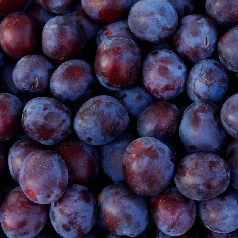 French Organic Plum Oil 30 ml