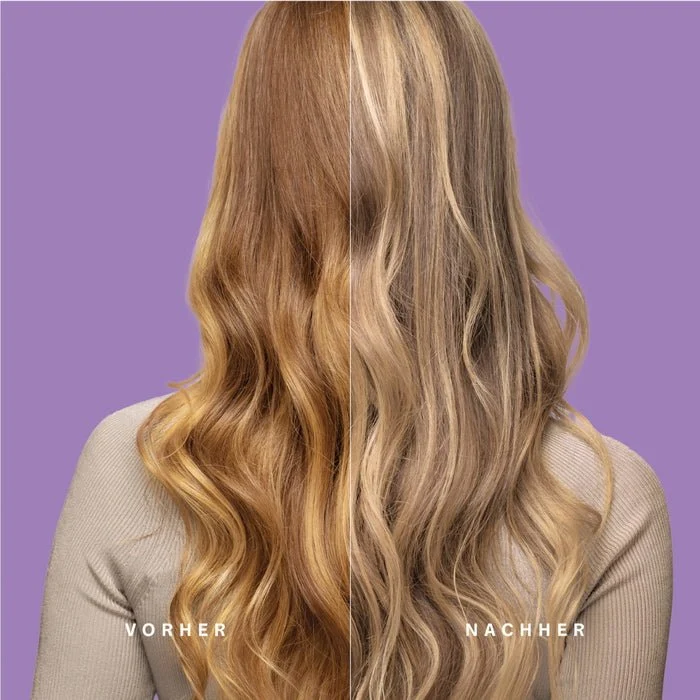 Silver Treatment - Healing Herbs Hair Color 100 g
