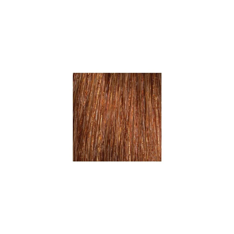 L'Oréal Majirel