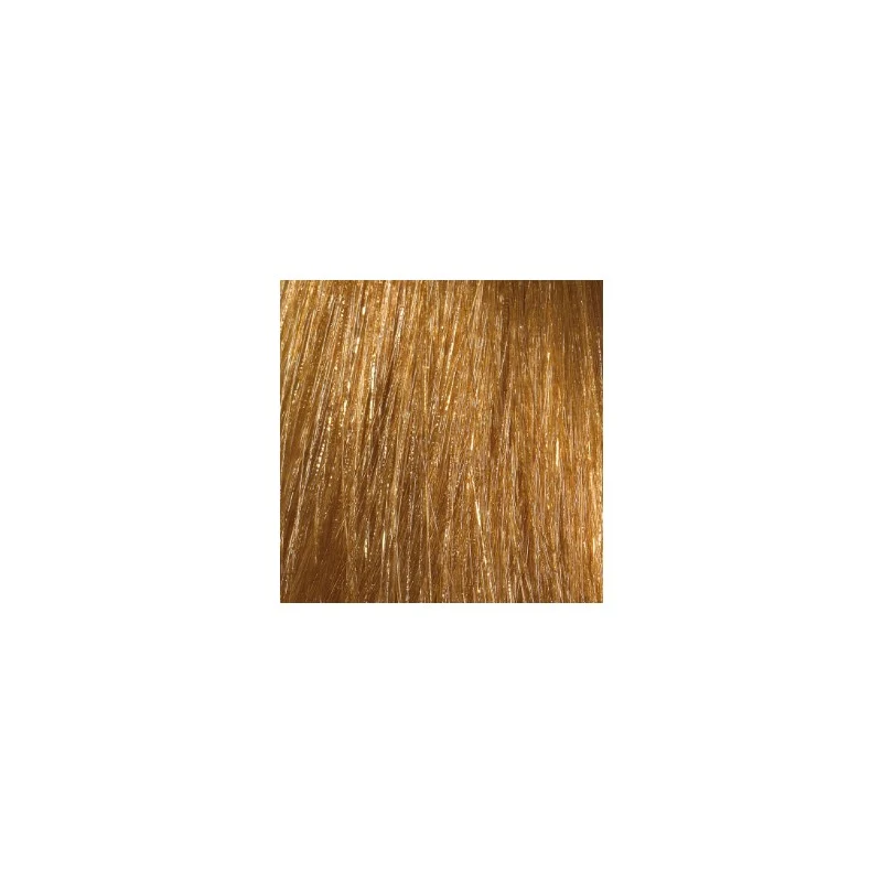 L'Oréal Majirel