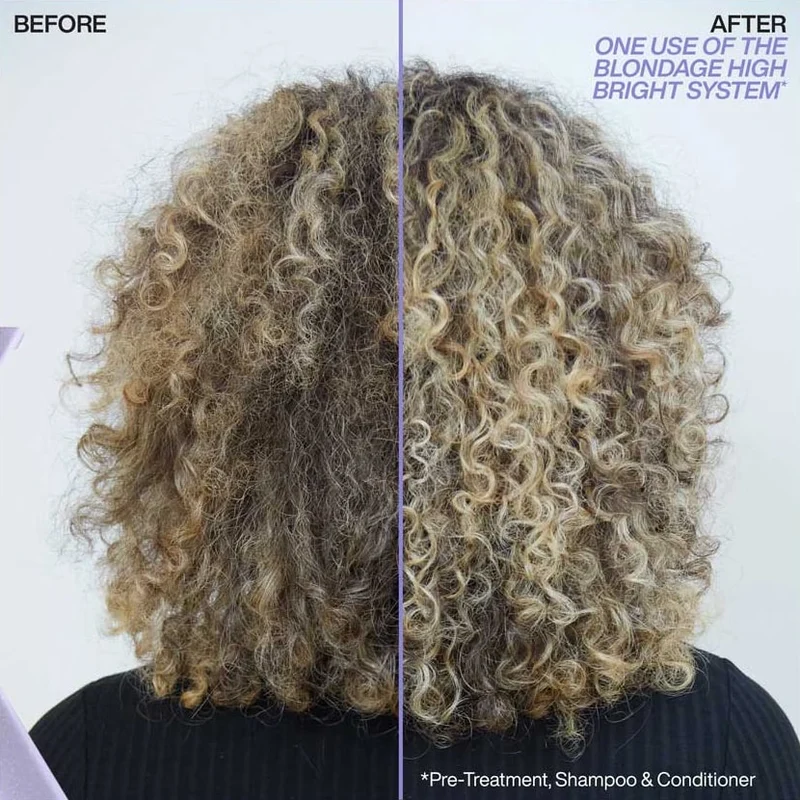 Color Extend Blondage High Bright Pre-Shampoo Treatment 250ml