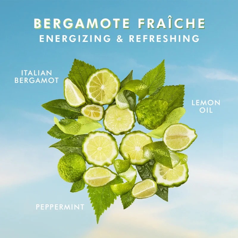 Moroccanoil Handcreme Bergamotte Fraiche