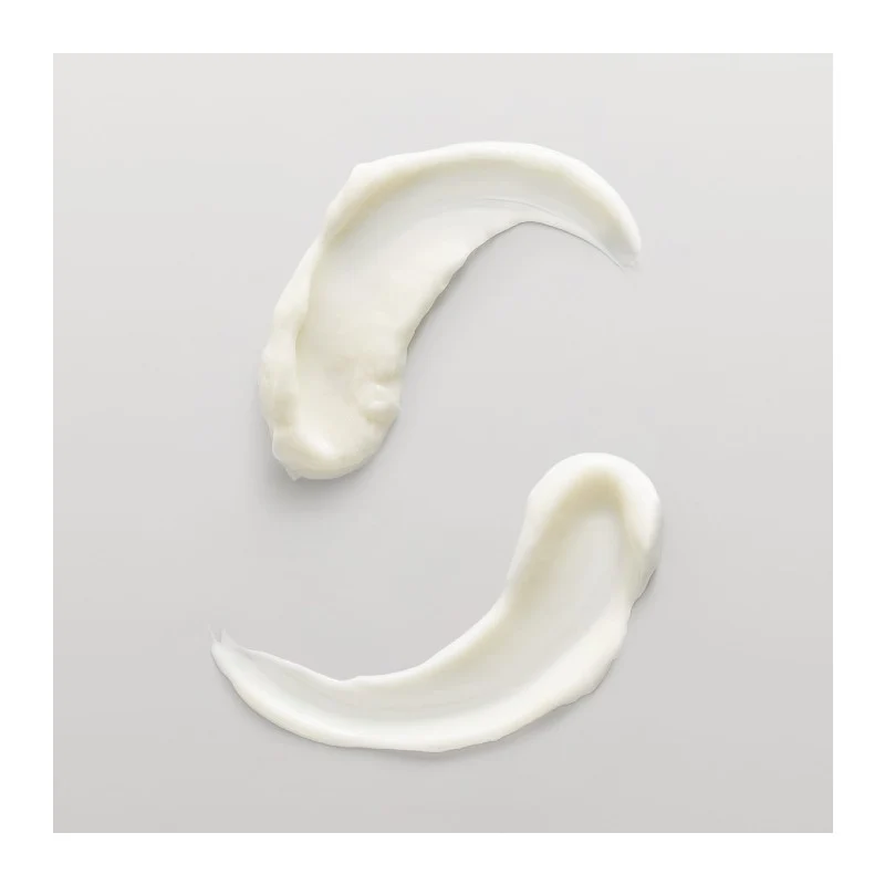 System Professional Hydrate Conditioner H2