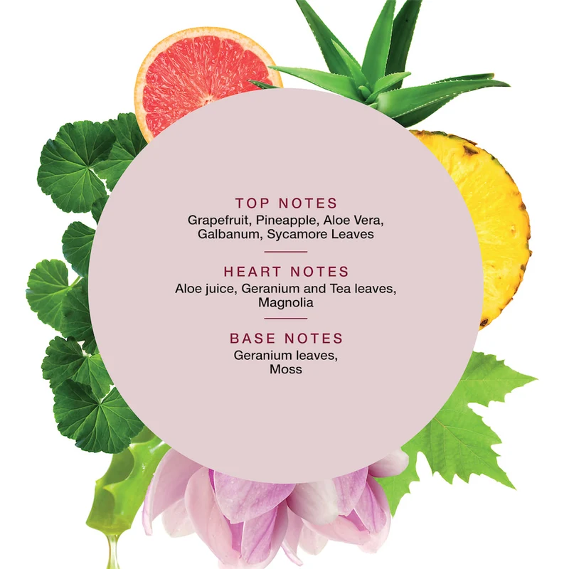 Scalp Habit Purifying Shampoo 250ml