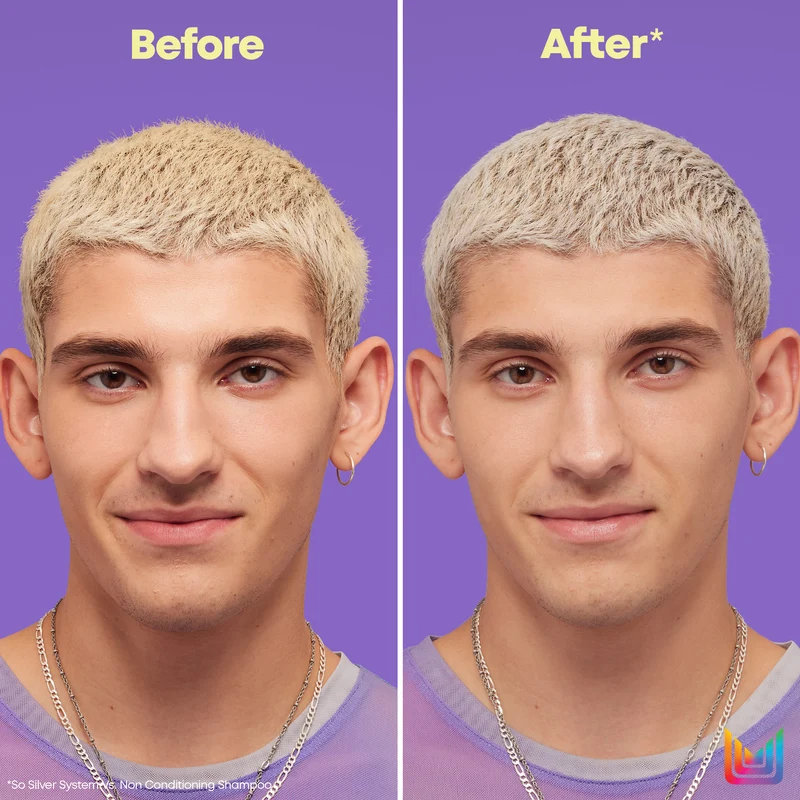 So Silver Pigmented Conditioner 300ml