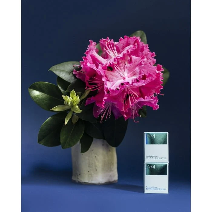 Rhododendron Cypress Deocreme 30 g