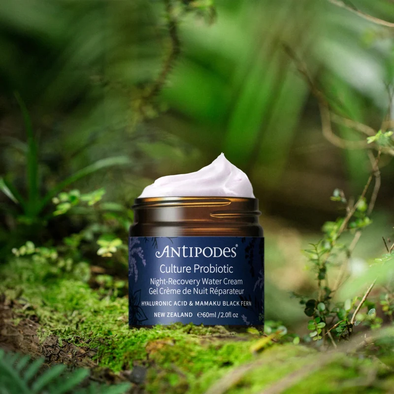 Culture Probiotic Night Recovery Water Cream