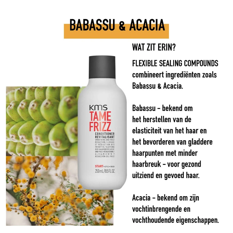 KMS Tamefrizz Conditioner