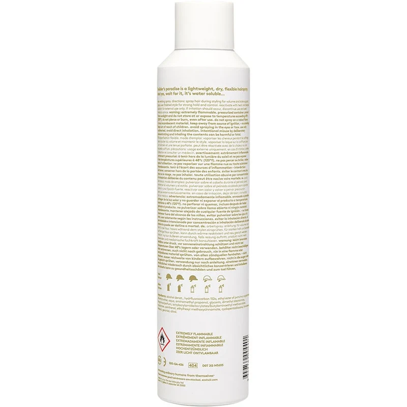 Builder'S Paradise Working Spray 300ml