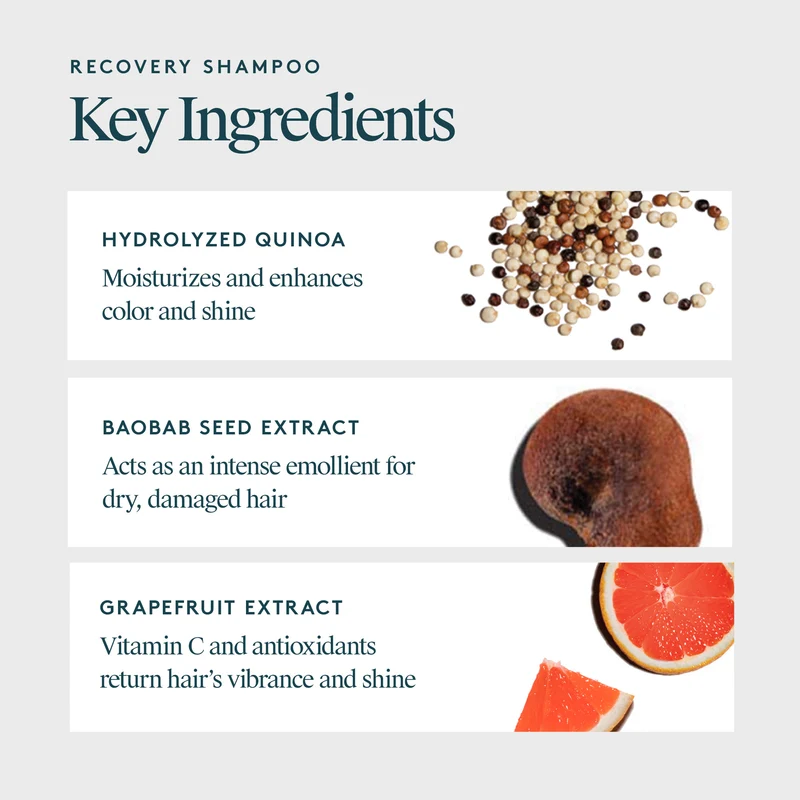 Recovery Shampoo 500ml