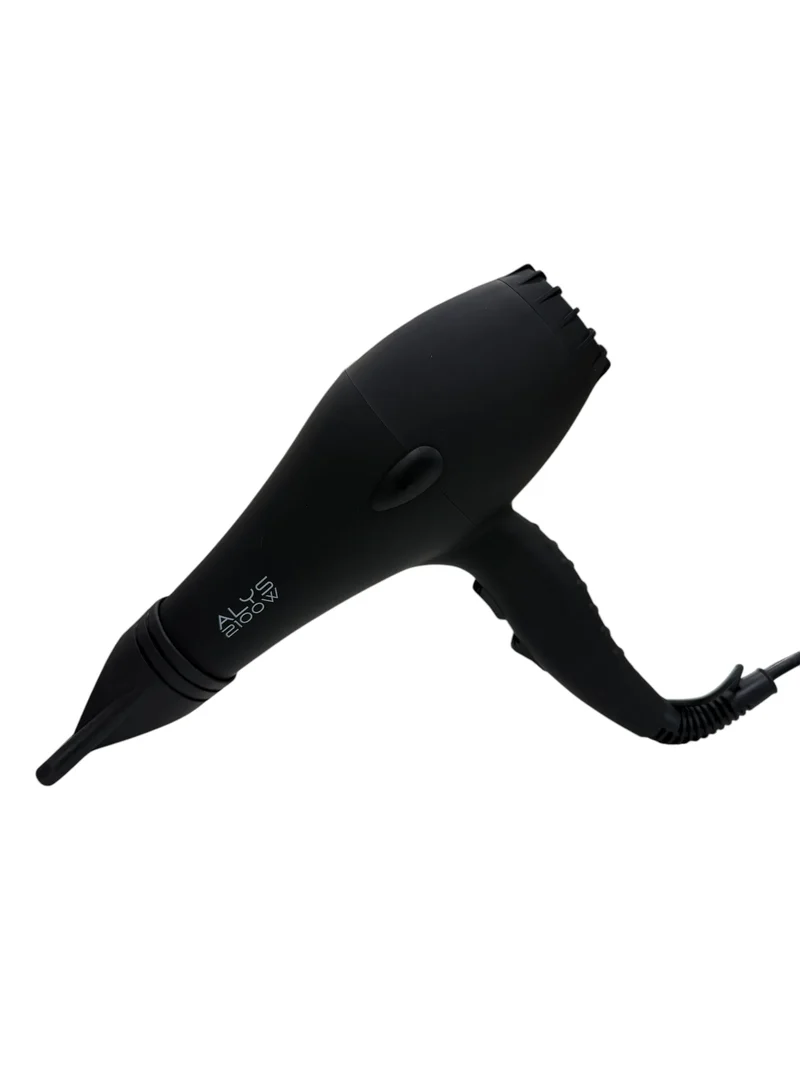 ALYS ASCIUGACAPELLI PROFESSIONALE 2100 W