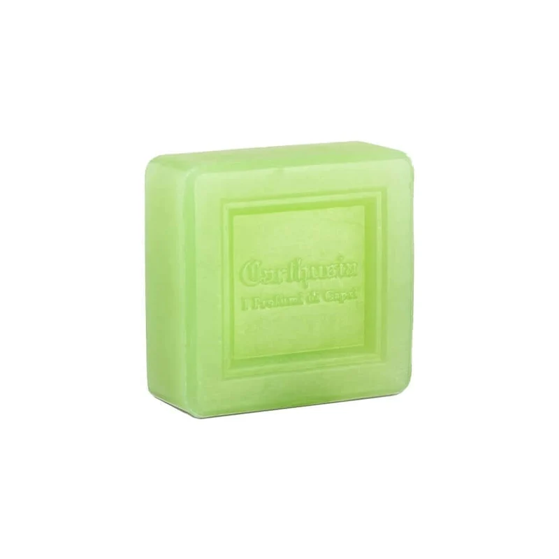 Aloe vera Sapone