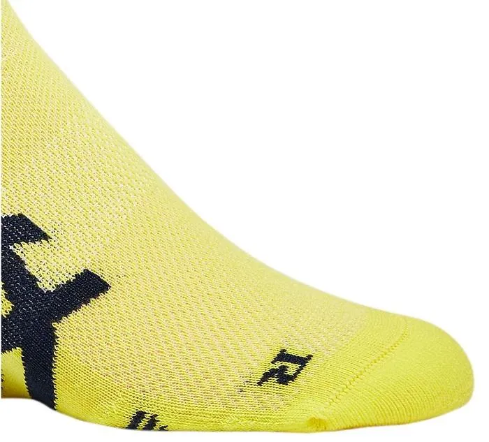 Asics 2 paia di calze da corsa ammortizzanti 2ppk Cushioning Sock 3013A238 003 blu-giallo
